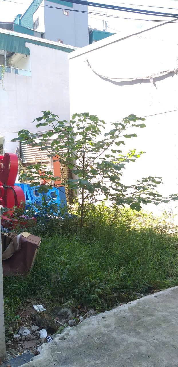 Đất nền 145m² ngõ 64 Đông Thiên, Hoàng Mai - Giá chỉ 12 triệu/m², cơ hội đầu tư không thể bỏ qua!