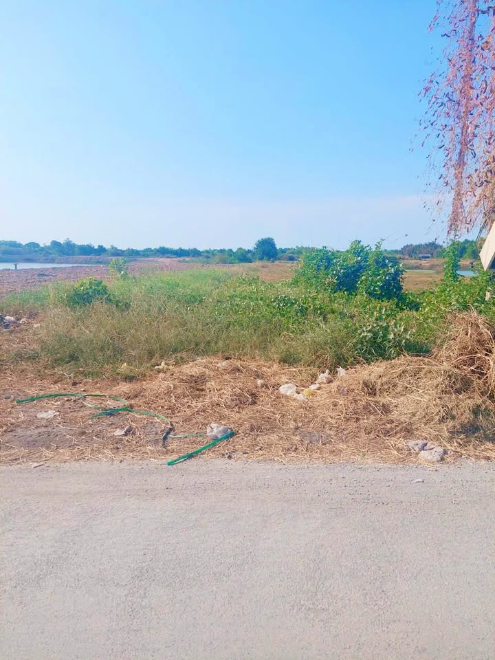 Đất Bảo Thạnh, Ba Tri, Bến Tre 1.600m² giá 1.6 tỷ - Đầu tư lý tưởng!