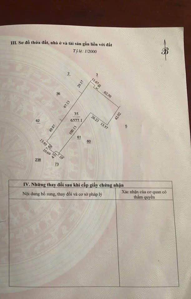 Đất vườn Châu Hòa 6577m² giá 2.312 tỷ - Sẵn sàng thu hoạch ngay!