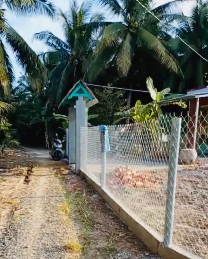 Đất nền Phước Thạnh Châu Thành Bến Tre 1600m² giá 1.35 tỷ - Sổ đỏ chính chủ!