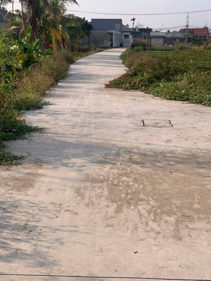 Đất nền Quốc Tuấn, An Dương 55m² giá 800 triệu - Ô tô vào tận nơi!