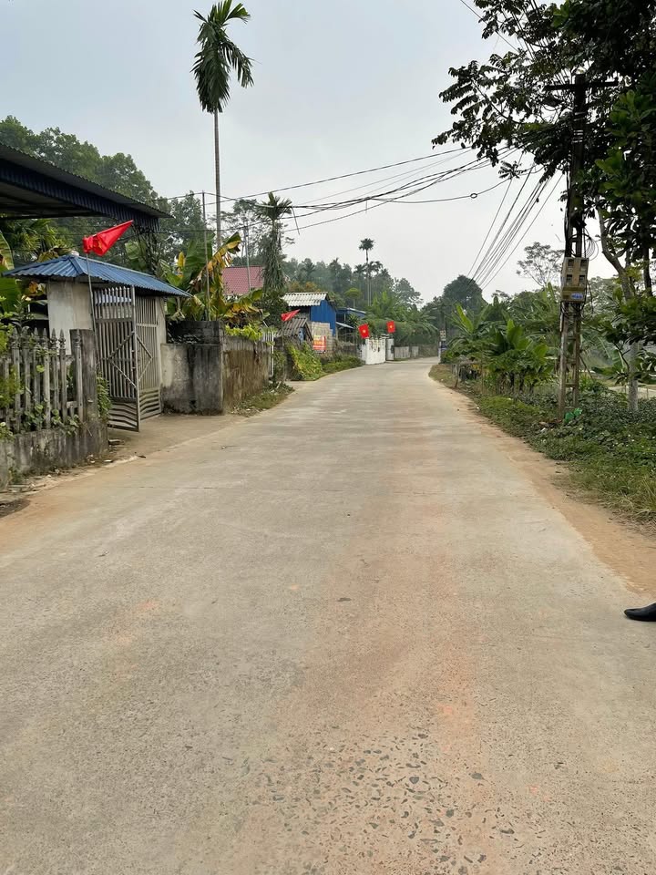 Đất nền Bình Thuận, Đại Từ 115m² giá chỉ 700 triệu - Cơ hội đầu tư tuyệt vời!