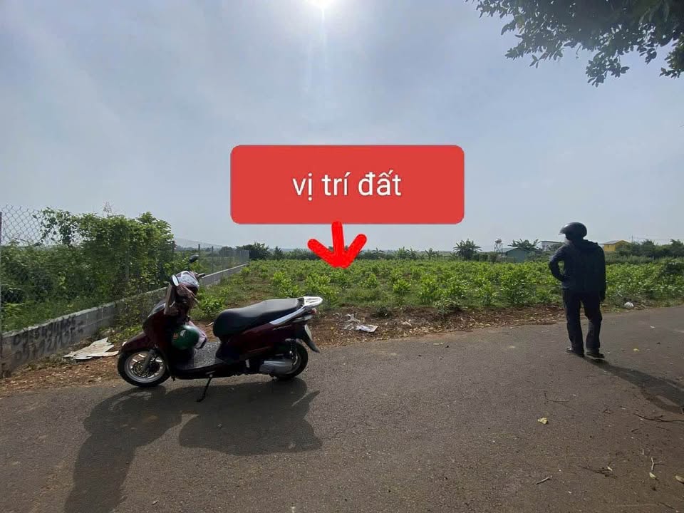 Đất thổ cư Long Phước 330m² giá 2 tỷ - Mặt tiền đường nhựa đẹp!