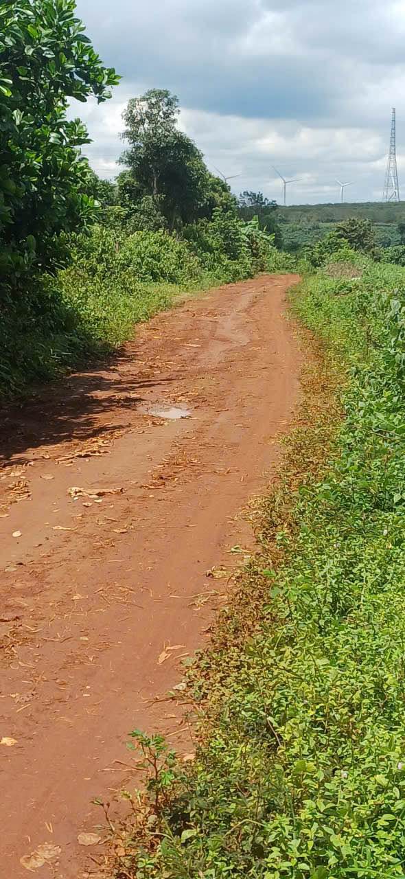 Đất nền đẹp 9 sào tại Ia Der, Gia Lai - Giá đầu tư chỉ 1.5 tỷ!