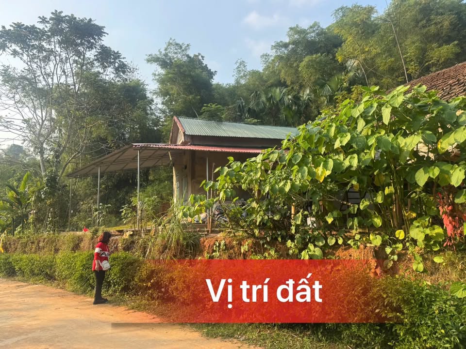 Đất nền Vân Am Ngọc Lặc 175m² giá 90 triệu - Sổ đỏ chính chủ!