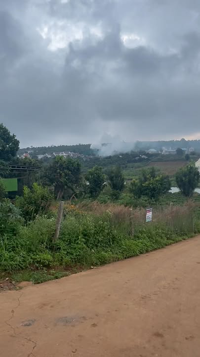 Đất nền Tân Hà 6000m² giá 4.2 tỷ - Ôm 2 mặt đường bê tông