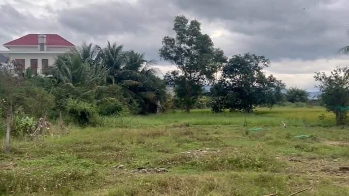 Đất nền Ninh Trung, Ninh Hòa 520m² giá 700 triệu - Bán gấp chính chủ!