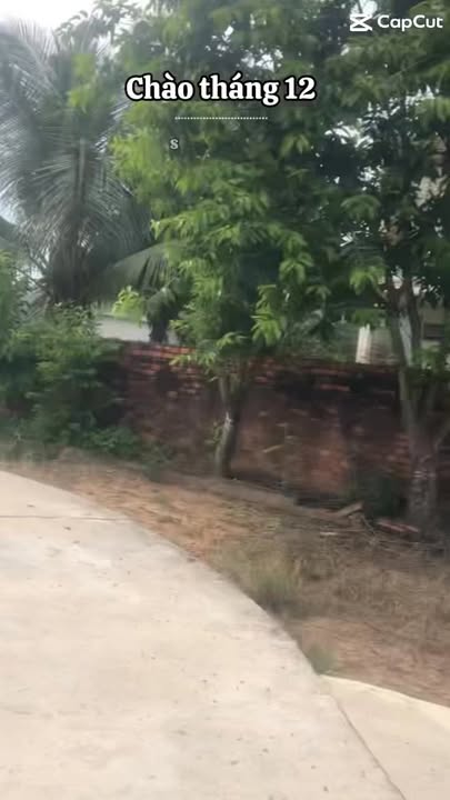 Đất Tân Xuân, Hàm Tân 450m² giá 900 triệu - Đầu tư sinh lời ngay!