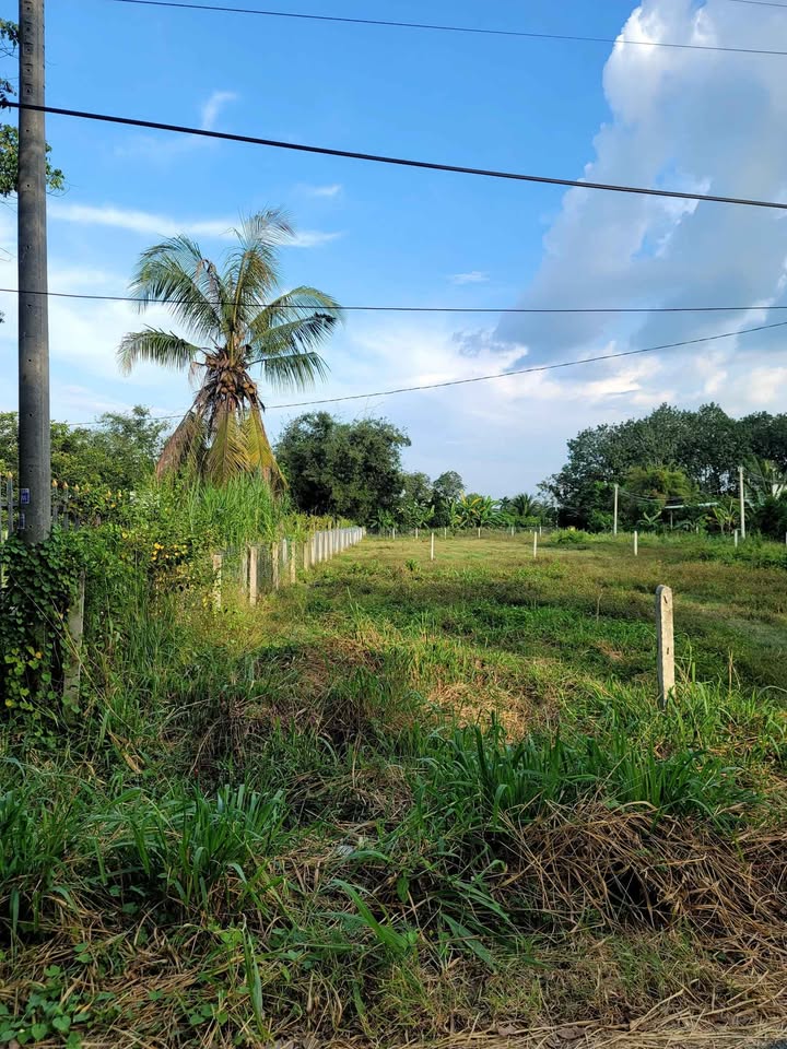 Đất mặt tiền đường Cây Da, Hiệp Thạnh, Gò Dầu 160m² giá 699 triệu - Sổ đỏ chính chủ, công chứng liền tay!