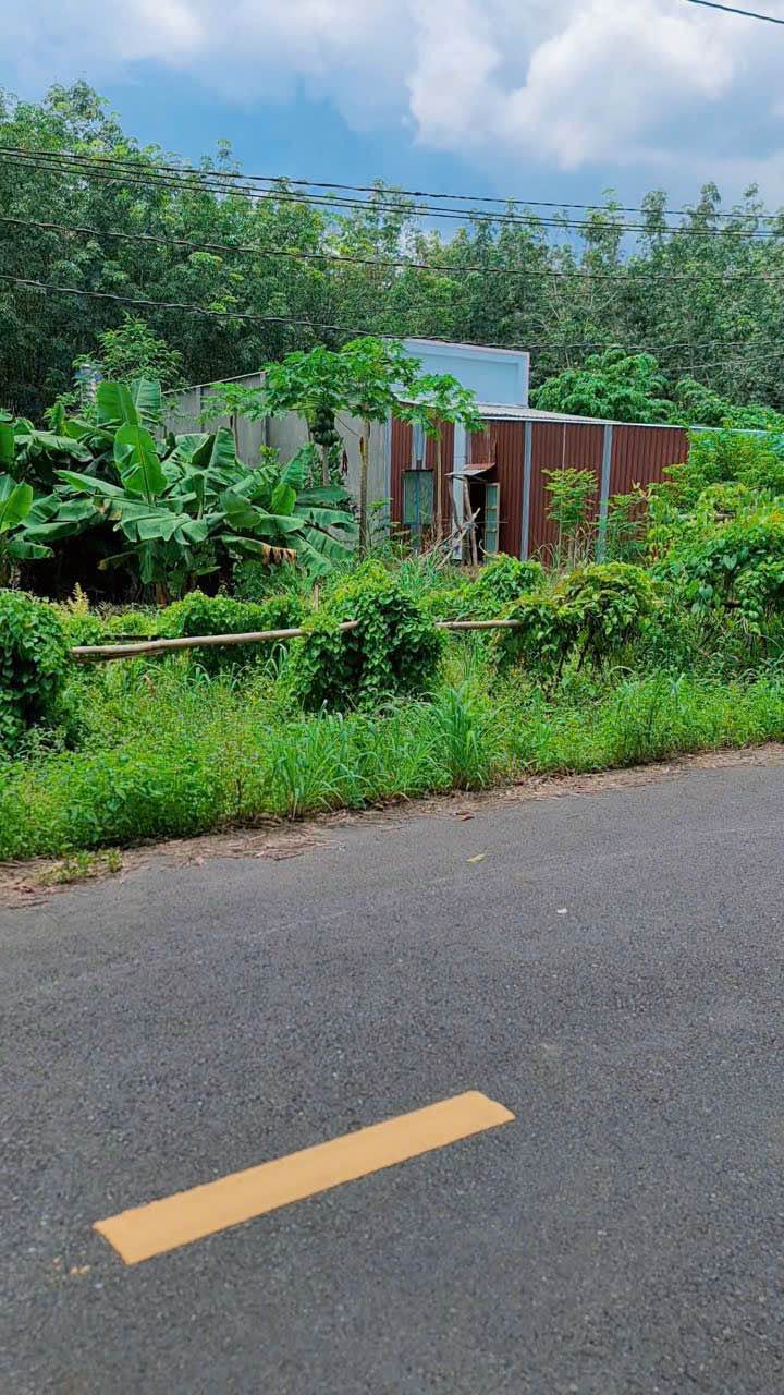 Đất nền Lai Uyên, Bàu Bàng, 170m² giá chỉ 600 triệu - Cơ hội vàng đầu tư!