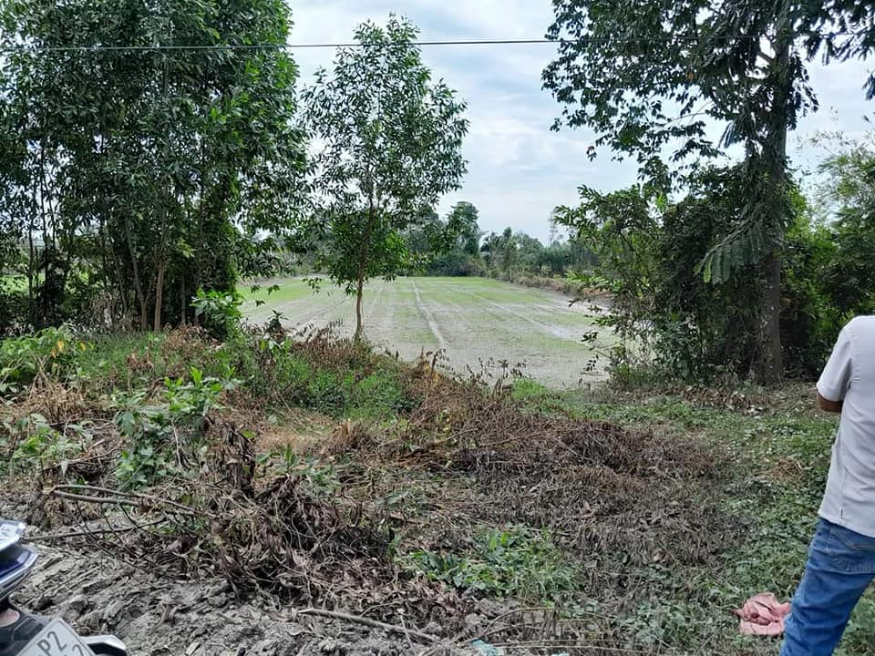 Đất thổ cư 375m² tại Bình Hòa Bắc, Đức Huệ - Giá chỉ 1.65 tỷ!