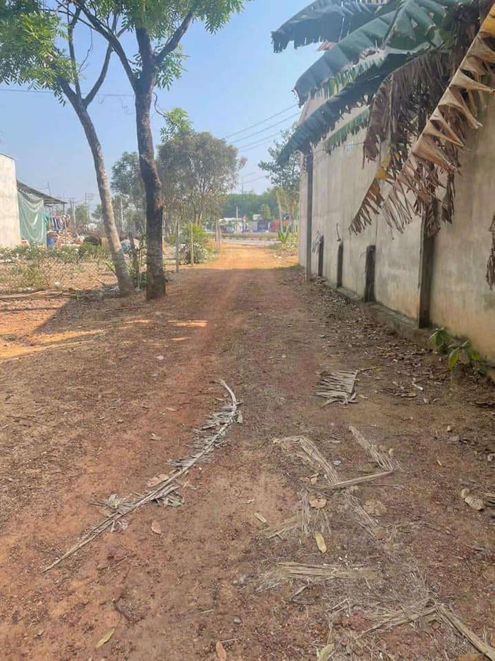 Đất Tân Định, Bến Cát 2400m² giá 7 tỷ - Cơ hội đầu tư hấp dẫn!