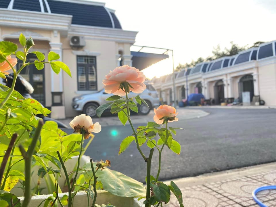 Nhà phố liền kề An Điền 76.5m² giá 400 triệu - Sổ hồng riêng, thiết kế hiện đại!