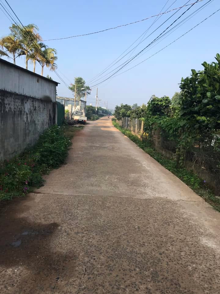 Đất nền mặt tiền Nguyễn Văn Cừ, Lộc Phát, 853m² giá 272.96 triệu - Thích hợp đầu tư kho xưởng!