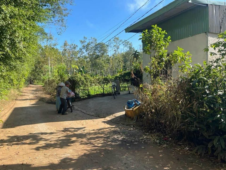 Đất nền Bến Cát Bình Dương 240m² giá chỉ 800 triệu - Cơ hội đầu tư hấp dẫn!