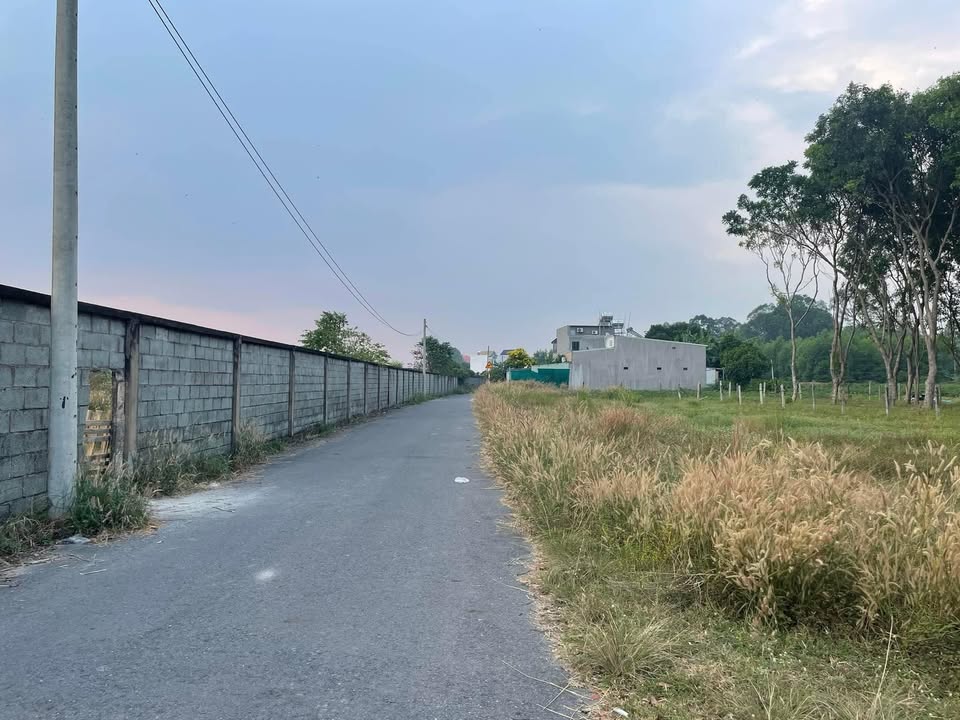 Đất thổ cư Phú Mỹ Thủ Dầu Một 94m² giá 1 tỷ - Tiềm năng phát triển cao!