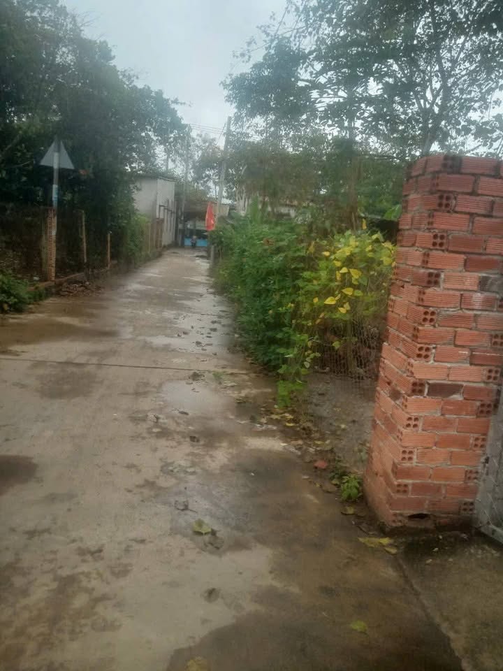 Đất Nghĩa Thành, Châu Đức 1185m² giá 5.8 tỷ - Bán nhanh, vị trí đẹp!