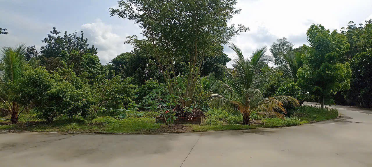 Đất Long Tân, Dầu Tiếng 4900m² - Cơ sở hạ tầng hoàn thiện, tiện ích đa dạng!