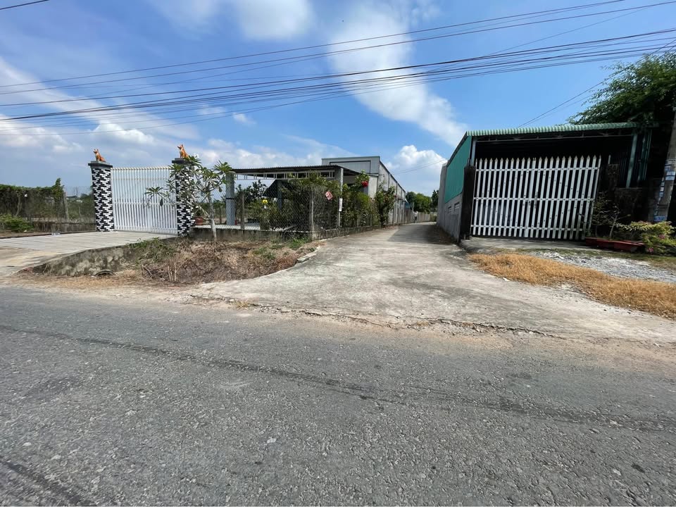 Đất nền Phước Thạnh, Gò Dầu 1255m² chỉ 1 tỷ - Đầu tư sinh lời ngay!