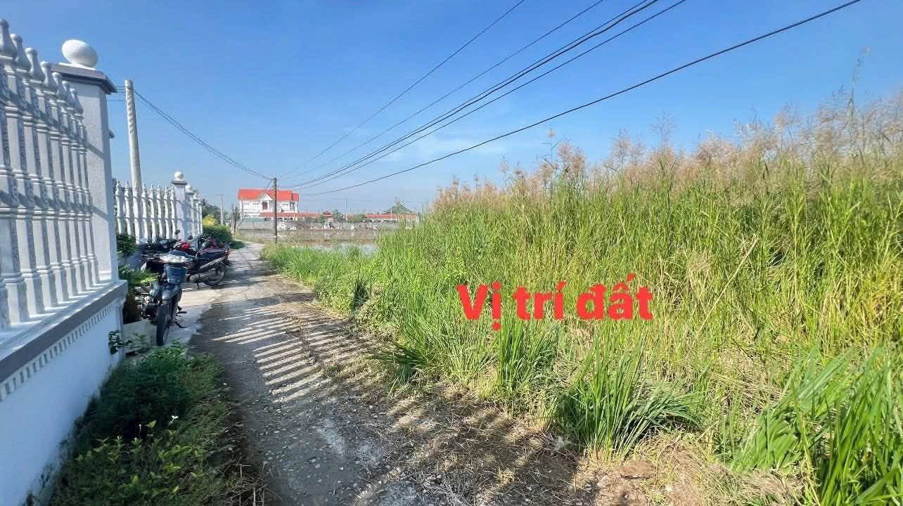 Đất thổ cư xã Mỹ Lệ, Cần Đước 114m² giá 599 triệu - Khu vực đông dân, thuận tiện!