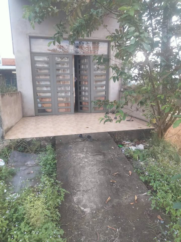 Đất lúa 394m² ấp Phú Ân, Cần Giuộc giá 1.2 tỷ - Cơ hội đầu tư hấp dẫn!