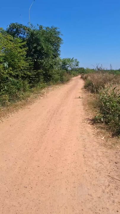 Đất lúa Cầu Khởi, Dương Minh Châu 1500m² giá 1.3 tỷ - Sổ hồng riêng 3 mặt tiền đường!