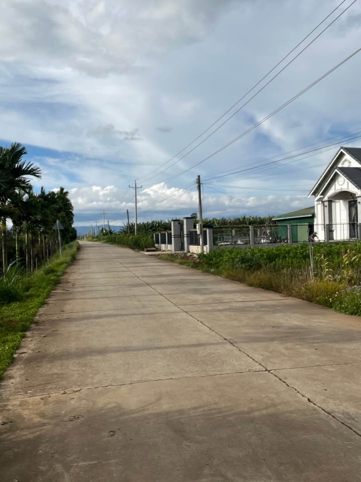 Đất thổ cư 120m² Tân Hội, Đức Trọng - Gần trường Tiểu học chỉ 750 triệu!