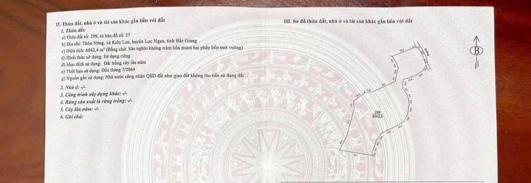 Đất trồng cây lâu năm tại Kiên Lao, Lục Ngạn, Bắc Giang 6000m² - Giá chỉ 500 triệu!