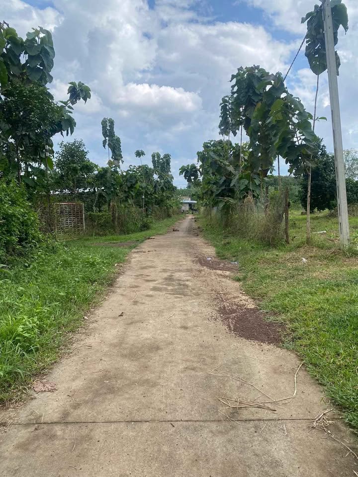 Đất thổ cư Lộc Phú 10.000m² giá 1.75 tỷ - Tiềm năng đầu tư sinh lời!