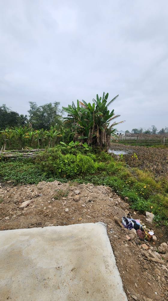 Đất nền Quảng Định, Thanh Hóa 61.8m² - Gần Đại lộ Võ Nguyên Giáp