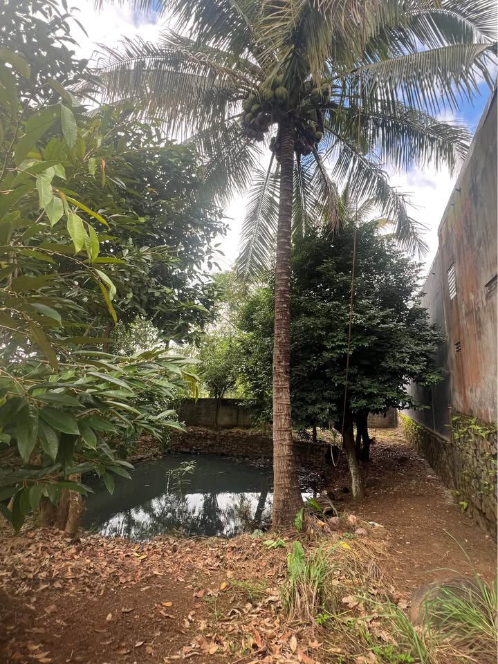 Nhà mặt tiền Phùng Hưng, Buôn Ma Thuột 1000m² giá 12 tỷ - Cơ hội kinh doanh hiếm có!