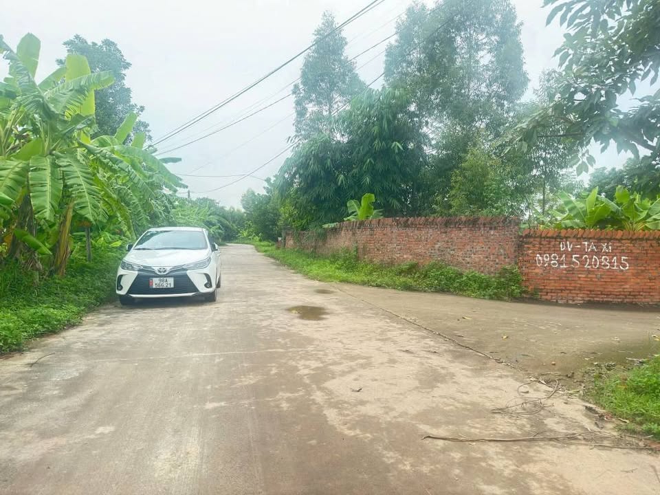 Đất nền góc mặt tiền 20x33m tại Việt Lập, Tân Yên - Giá 3 tỷ, cơ hội đầu tư sinh lời!