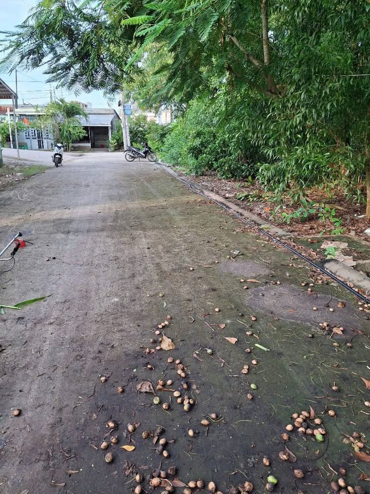 Đất nền đường Trương Phùng Xuân, phường 8 - Diện tích 531m², giá thỏa thuận hấp dẫn!