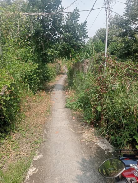 Đất ở Cẩm Sơn, Cai Lậy 3000m² giá 1.95 tỷ - Đường xe tải lớn, sổ đỏ đầy đủ!