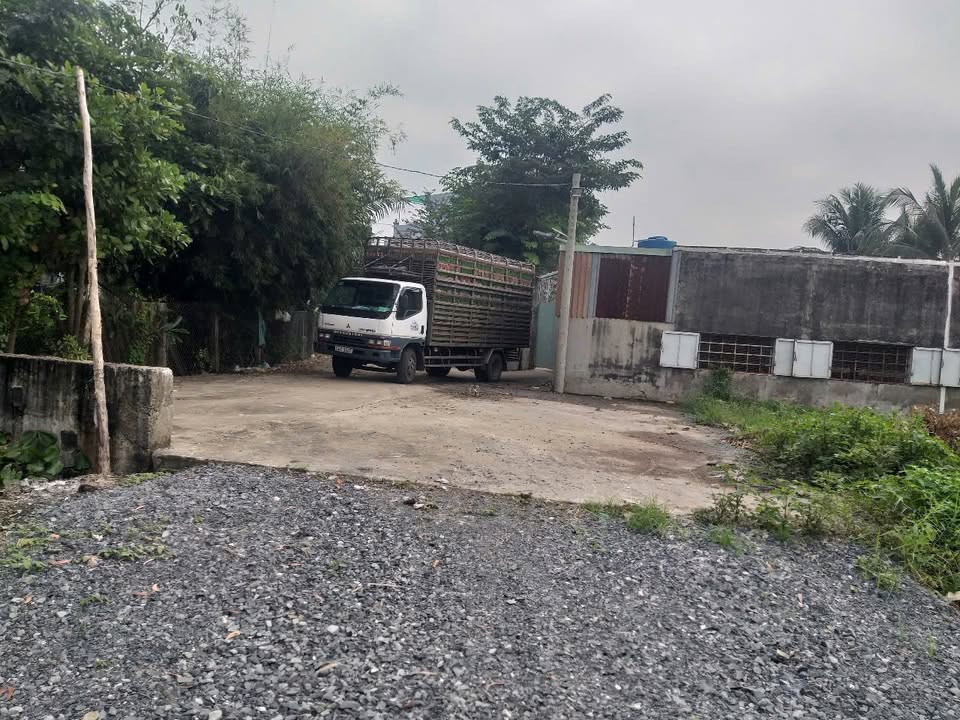 Đất thổ cư Long Cang Cần Đước 108m² giá 900 triệu - Đường xe tải thuận lợi!