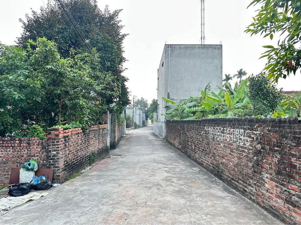 Đất nền Hồng Thái, An Dương 62m² giá 1.2 tỷ - Vị trí đẹp, đầu tư sinh lời!