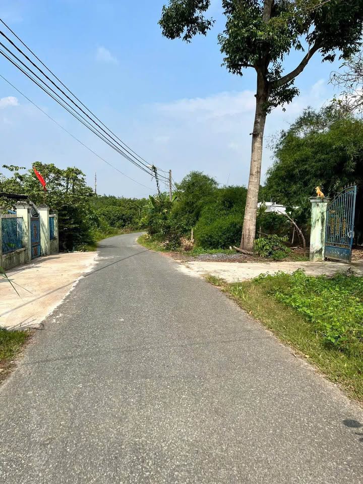 Đất thổ cư 175m² Củ Chi giá 1.1 tỷ - Sổ hồng riêng, mặt tiền đường nhựa!