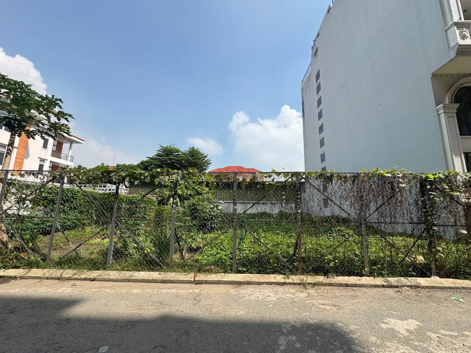 Đất nền hẻm xe hơi Nguyễn Văn Hưởng, Thảo Điền 470m² giá 117 tỷ - Đầu tư sinh lời ngay!