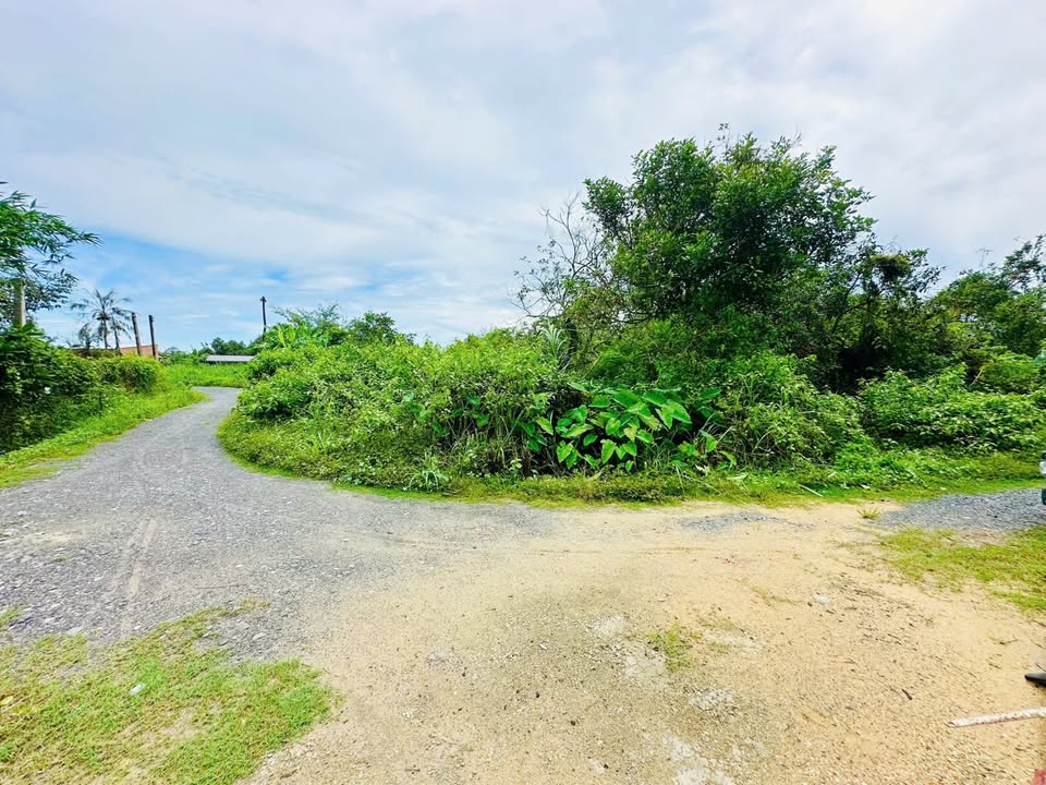 Đất nền Gò Dầu Tây Ninh 888m² giá 1.7 tỷ - Sổ hồng riêng, vị trí đắc địa!