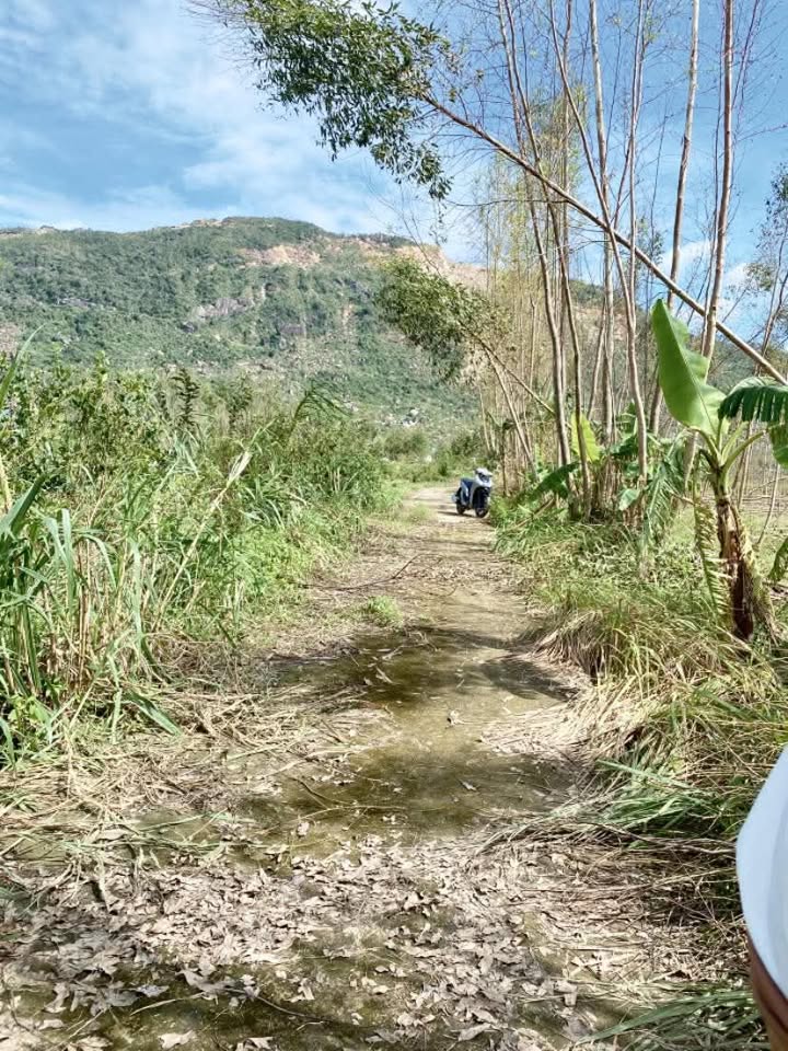 Đất vườn Phước Thành Tuy Phước 820m² giá 2xx triệu - Cơ hội đầu tư hấp dẫn!