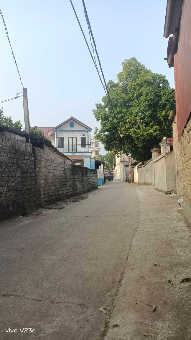 Đất nền chính chủ Thường Thắng, Hiệp Hòa, Bắc Giang 100m² giá 1 tỷ - Đầu tư sinh lời ngay!