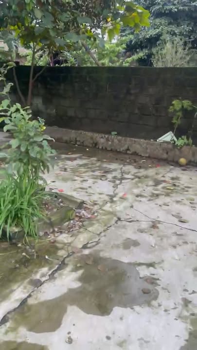 Đất nền Hương Sơn, Mỹ Đức 60.5m² giá 600 triệu - Sổ đỏ chính chủ, hạ giá sâu!