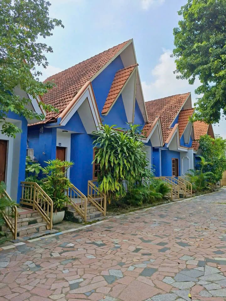 Căn hộ mini đường Trần Văn Ơn, Thủ Dầu Một 25m² chỉ 3 triệu/tháng - Sẵn sàng vào ở ngay!