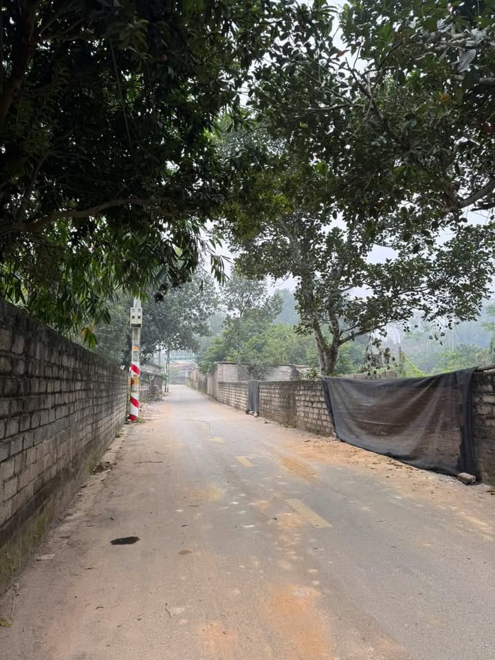 Đất nền 300m² tại phường Tùng Thiện, Sơn Tây - Giá chỉ 2 tỷ, cơ hội đầu tư hấp dẫn!