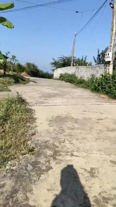 Farm Tân Quang Lục Ngạn 31.000m² giá 2.43 tỷ - Sẵn sàng sở hữu ngay!