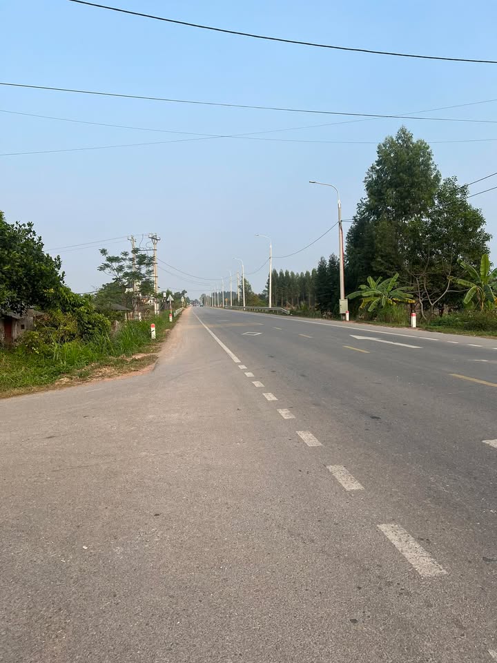 Đất nền 200m² xã Việt Lập, Tân Yên, giá 2 tỷ - Đầu tư sinh lời ngay!