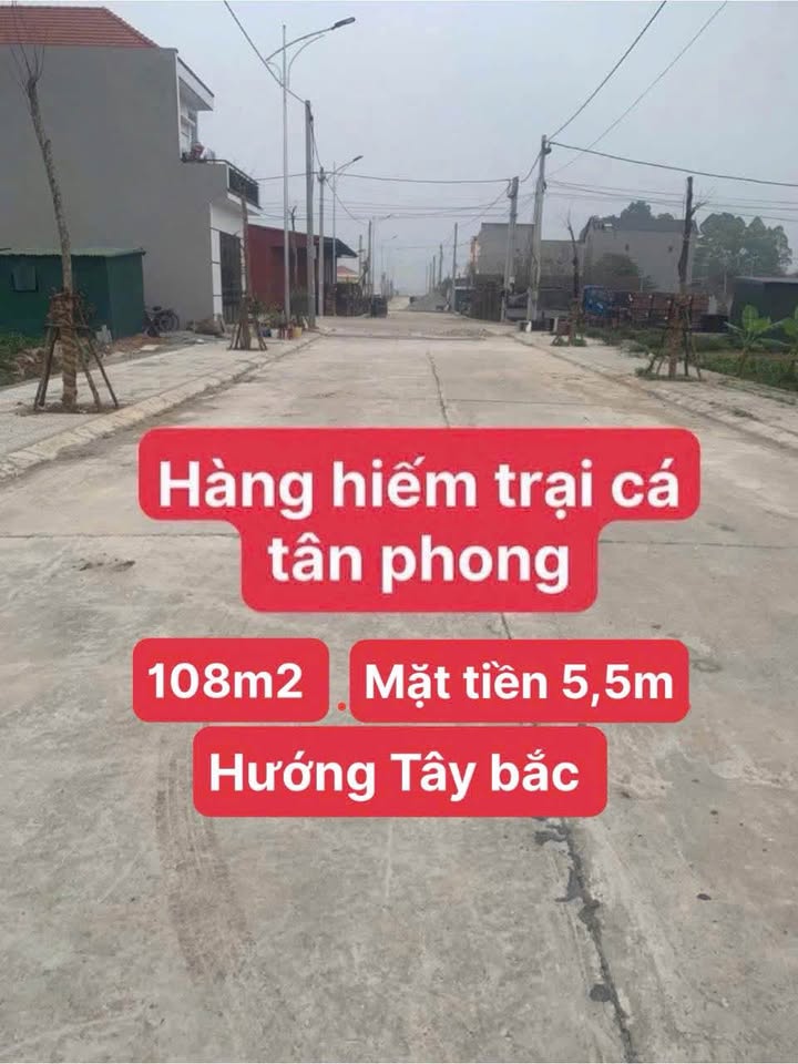 Đất nền Tân Phong, Bình Xuyên 108m² giá 3.2 tỷ - Cơ hội đầu tư tuyệt vời!