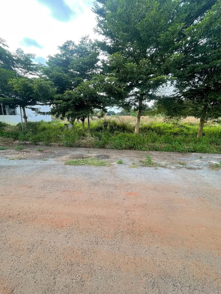 Đất mặt tiền đường Trần Huy Liệu, phường Đạt Hiếu, 150m² chỉ 1.19 tỷ - Đầu tư sinh lời!