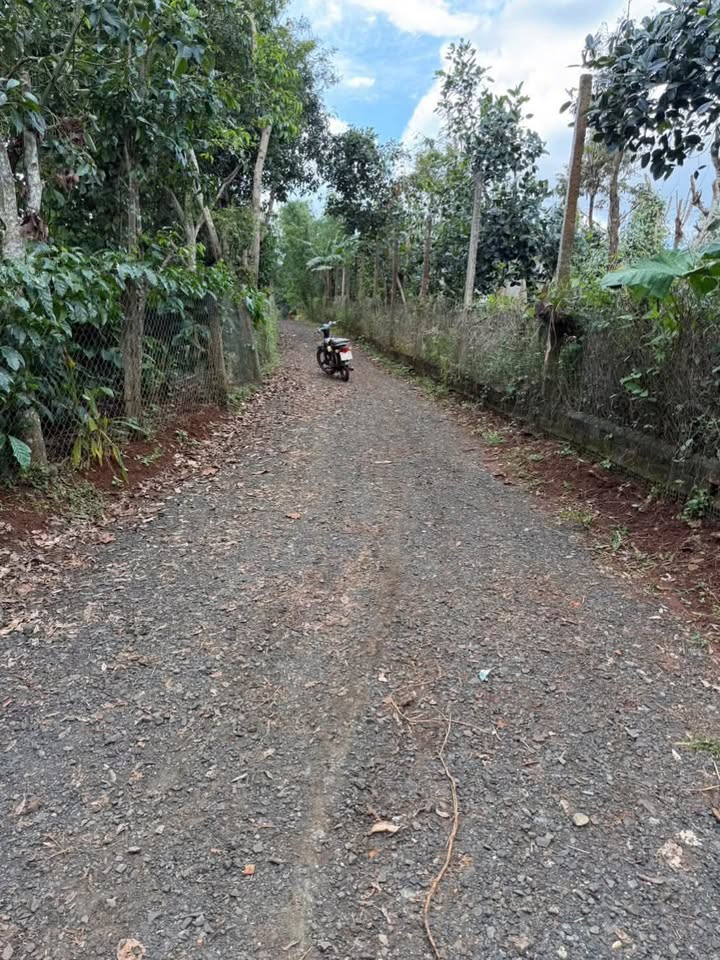 Đất nền chính chủ mặt tiền đường Amidoan, Buôn Hồ 200m² giá 950 triệu - Cơ hội đầu tư hấp dẫn!