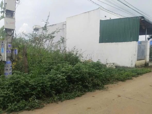 Đất nền Phú Hội, Đức Trọng 142m² giá 1.5 tỷ - Cơ hội đầu tư tuyệt vời!